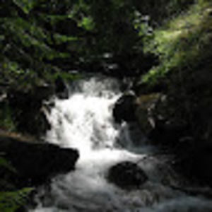 Meet your Posher, Roma